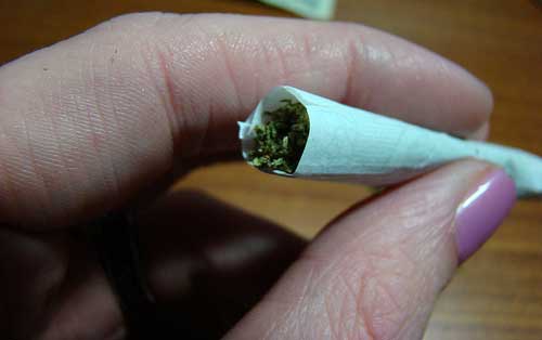 cannabis habit
